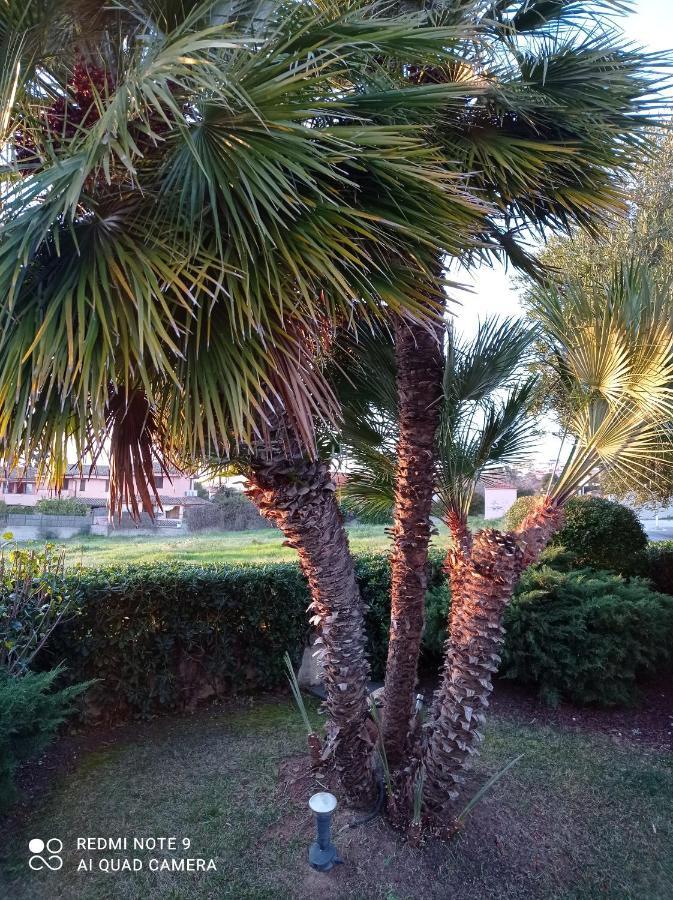 La Forma Dell'Acqua Bed & Breakfast Su Forti Exterior photo